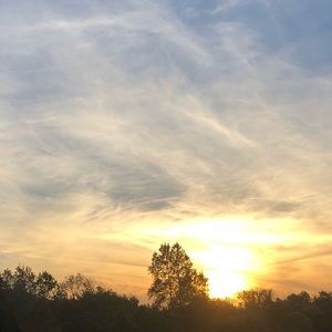 Meet your Posher, Ella